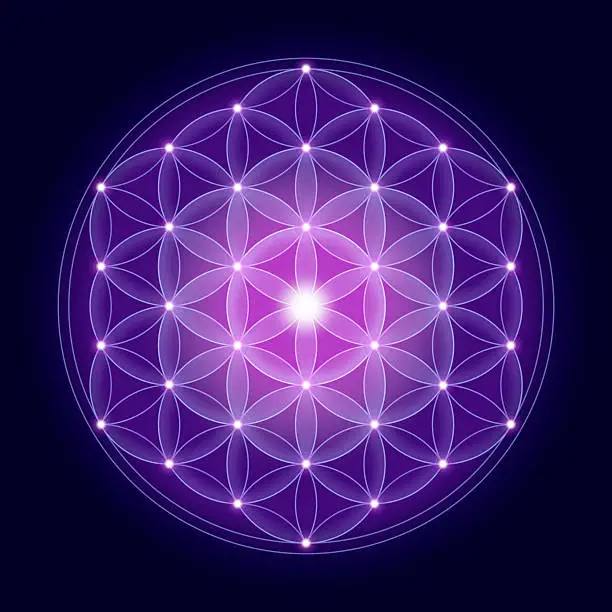 Photo of Bright Flower of Life With Stars