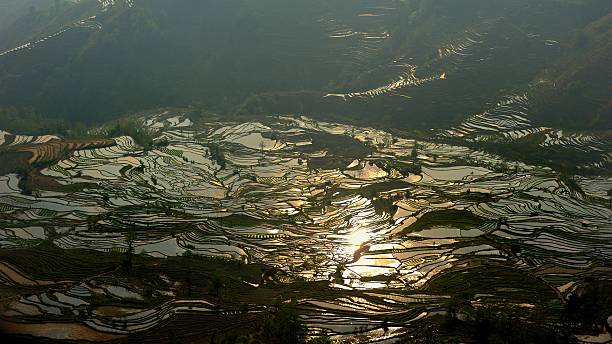 coucher de soleil sur les champs en terrasse - agriculture artificial yunnan province china photos et images de collection
