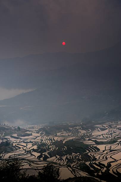 hani champs en terrasse sunrise 01 - agriculture artificial yunnan province china photos et images de collection