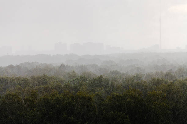 istock heavy fall of rain in summer day 468475145