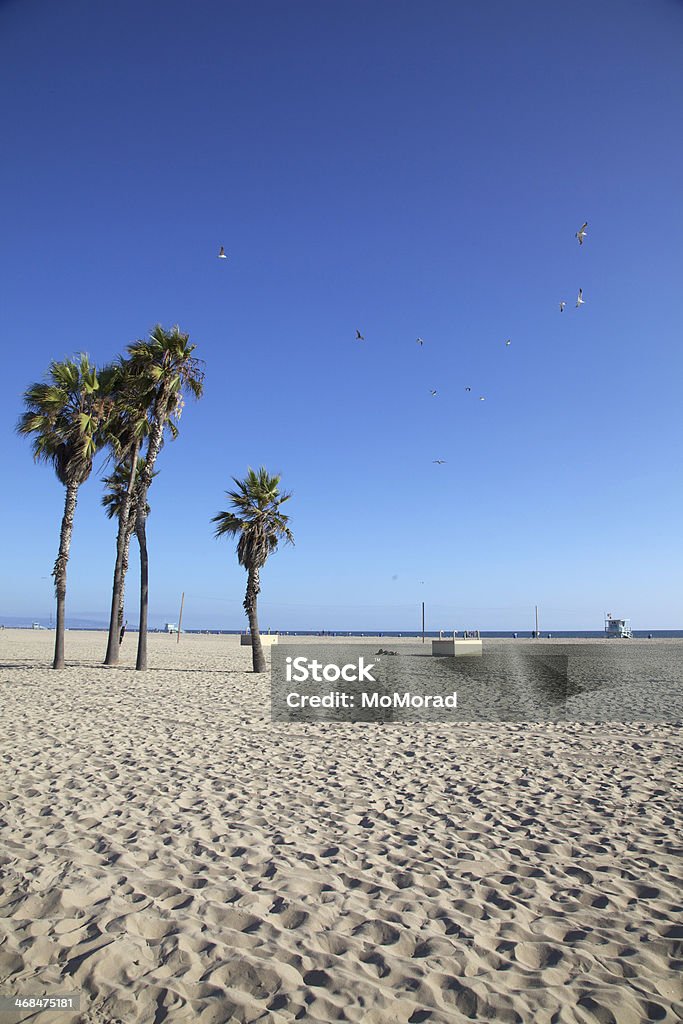 Santa Monica Beach - Lizenzfrei Baum Stock-Foto