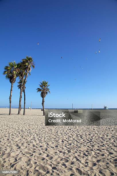 Santa Monica Beach Stockfoto und mehr Bilder von Baum - Baum, Blau, Fotografie