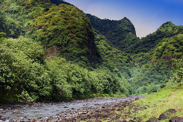 istock Tahiti, mountains. Tropical nature. 468475977