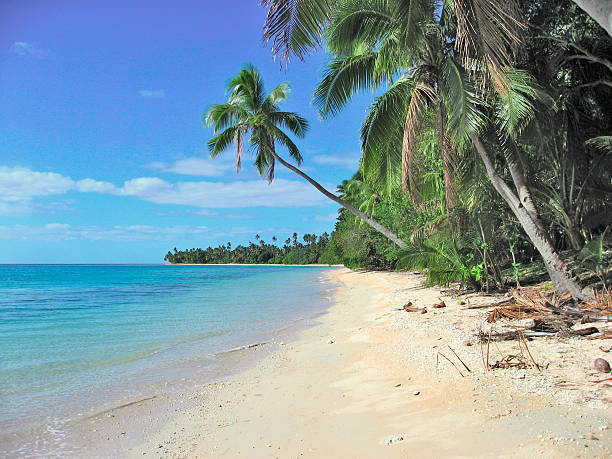 istock Tropical beach in Fiji islands 468476695