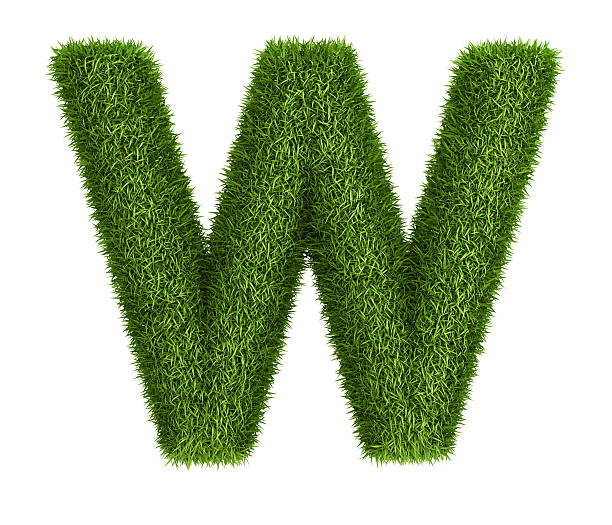 istock Natural grass letter W 468477223