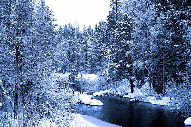istock end of evening in deep forest lake 468488584