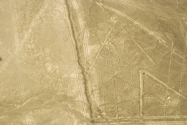 spider nazca geoglif linie w pustyni, peru - floating of ice zdjęcia i obrazy z banku zdjęć