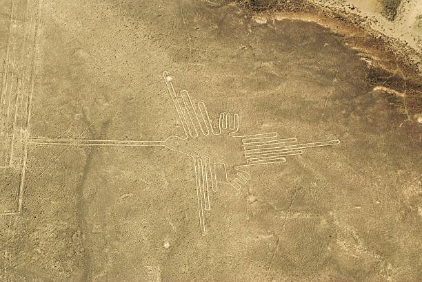 le colibri géoglyphe de nazca lignes dans le désert, au pérou - birds eye chilli photos et images de collection