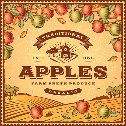 Vintage apples label with landscape in woodcut style. Editable EPS10 vector illustration with clipping mask and transparency. Includes high resolution JPG.