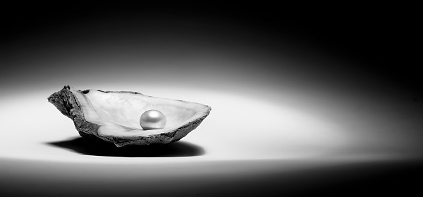Black and white image of a pearl in an oyster shell with room for copy space. Image is isolated by use of a spotlight on the oyster shell and pearl. Horizontal dimension is significantly longer than the vertical dimension leaving room for possible cropping or use as is.