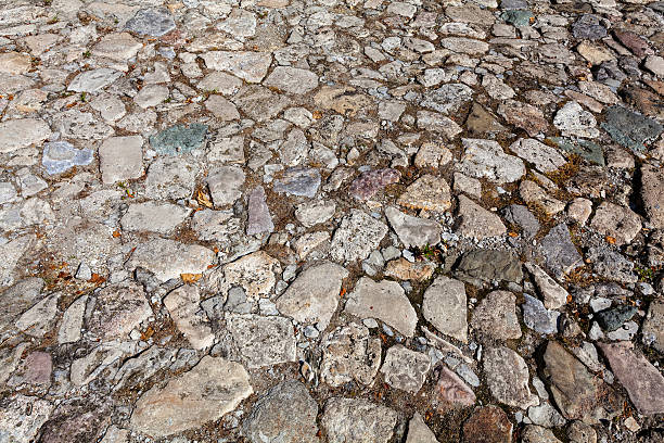istock detail of cobblestone path 468506054