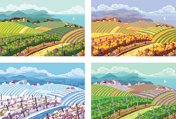 ilustraciones, imágenes clip art, dibujos animados e iconos de stock de four seasons. paisajes rurales. - four seasons cloud autumn plant