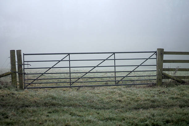 istock Farm cattle gate in thick fog 468509732