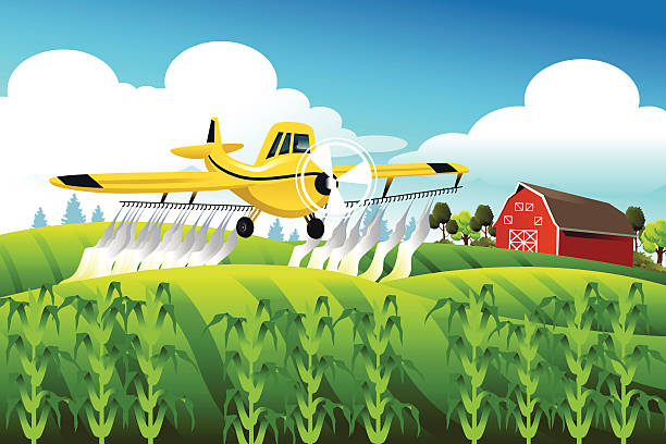 Crop duster flying over a field A vector illustration of crop duster flying over a field spraying pesticide airplane clipart stock illustrations