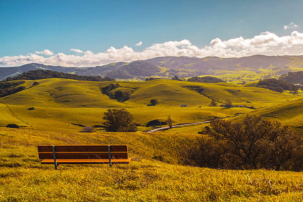 Sonoma County in Northern California Rolling hills and fields in Regional Park in the town of Petaluma in Northern California petaluma stock pictures, royalty-free photos & images