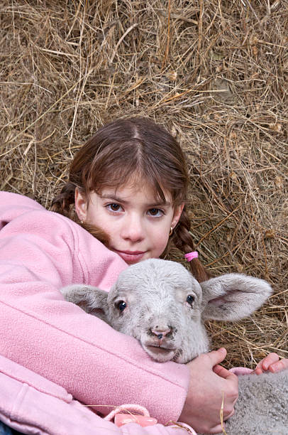 istock Girl with lamb in hay 468511505