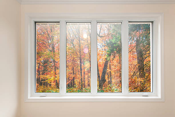 janela com vista para uma floresta de outono - moldura de janela - fotografias e filmes do acervo