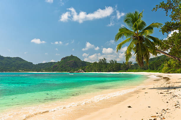 istock Tropical beach at Mahe island Seychelles 468516836