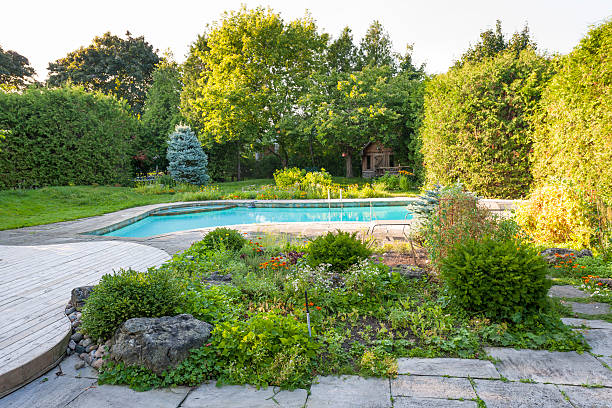 istock Garden and swimming pool in backyard 468521448