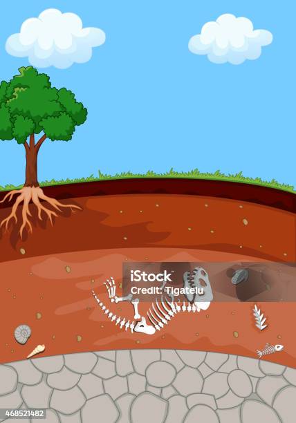 土壌カットイラスト恐竜化石層 - レイヤードのベクターアート素材や画像を多数ご用意 - レイヤード, 化石, オーガニック