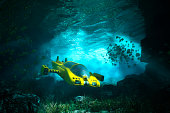 Underwater cave with submarine, sea, exploration