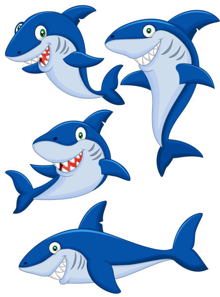 stockillustraties, clipart, cartoons en iconen met set of four shark cartoons in different poses on white back - toy shark