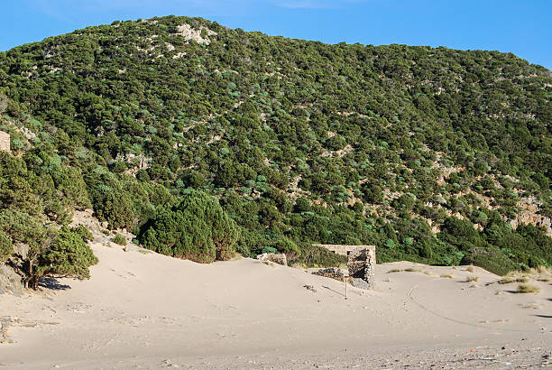 The bay and Caletta beach of Cala Domestica The bay and Caletta beach of Cala Domestica in the Sulcis area of Sardinia, Italy Buggerru stock pictures, royalty-free photos & images