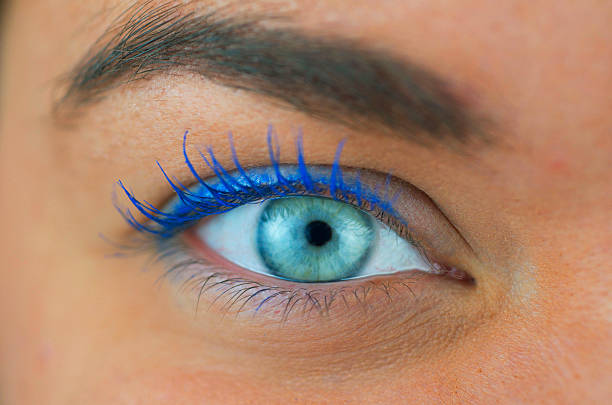 Right eye of a female with make-up. Close-up shot of the right eye of a girl with blue eyes wearing make-up mascara stock pictures, royalty-free photos & images