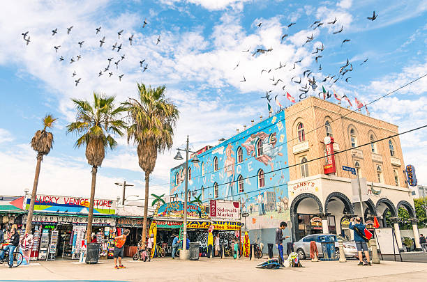 grande mural no windward avenue em venice beach na califórnia - venice califórnia - fotografias e filmes do acervo