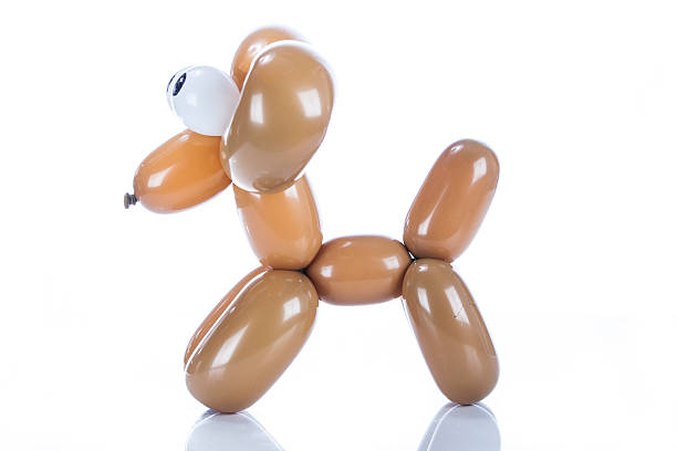 istock Balloon dog Chihuahua isolated on white 468542450