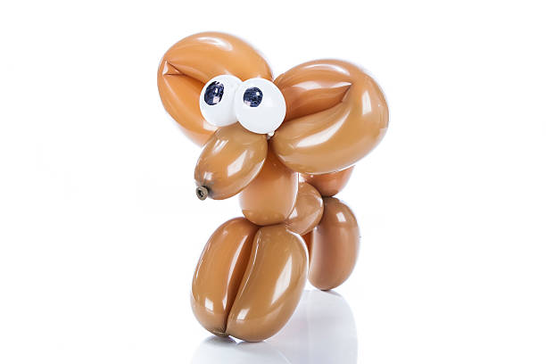 istock Balloon dog Chihuahua isolated on white 468542452