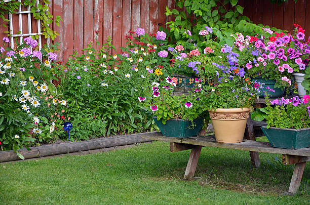 istock Colorful summer garden 468543598