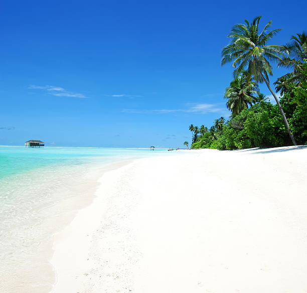istock Tropical beach and overwater holiday villa 468546850
