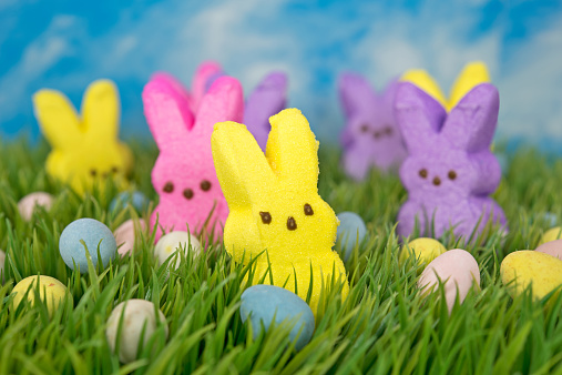 Colorful Easter bunny candy with eggs in green grass.