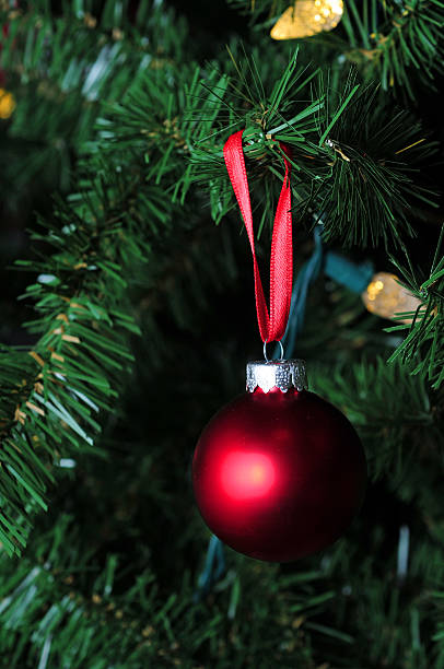 istock matte red christmas ornament hanging on tree 468550478
