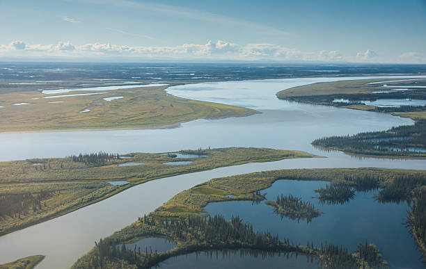 mackenzie river as it nears the arctic ocean - 西北地區 個照片及圖片檔