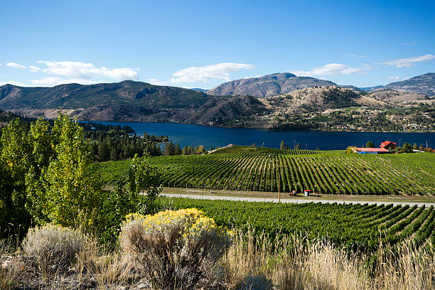 istock okanagan valley vineyards winery scenic penticton 468551572