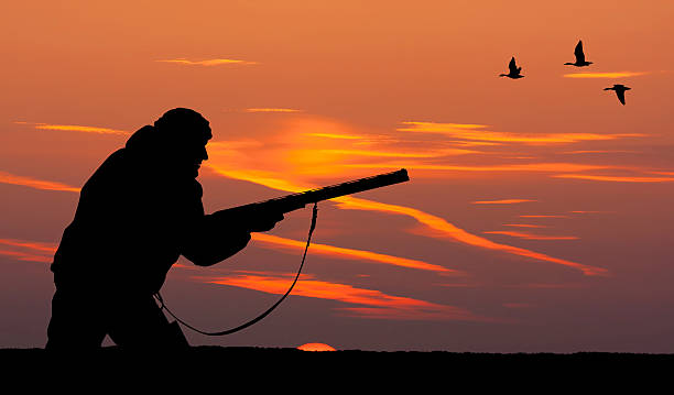 istock the silhouette of a hunter at sunset 468551944