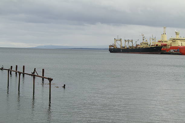 istock Punta Arenas, Patagonia Chile 468552258