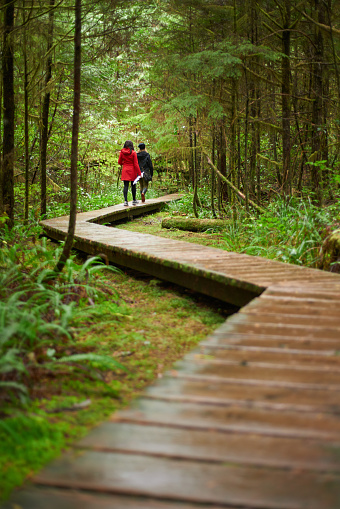 Rearview shot of two young women walking along a boardwalk through a foresthttp://195.154.178.81/DATA/i_collage/pu/shoots/785386.jpg