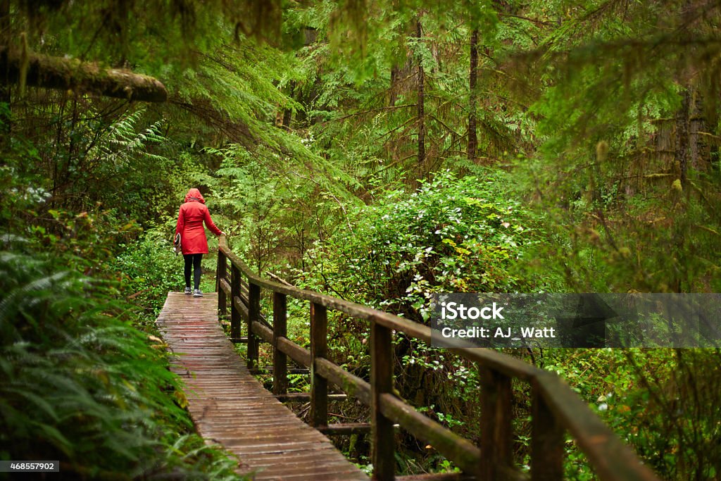 Nature therapy Rearview shot of a young woman walking along a boardwalk through a foresthttp://195.154.178.81/DATA/i_collage/pu/shoots/785386.jpg Environmental Conservation Stock Photo