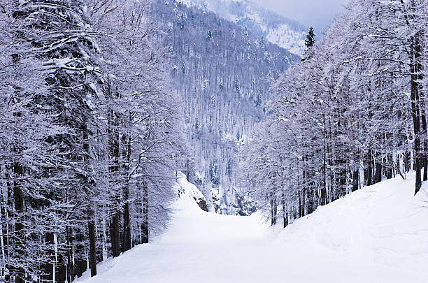istock Foggy morning at mountains, Slovenian Alps 468559268