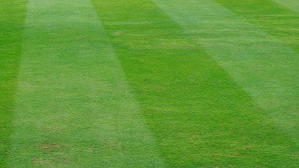 istock green filed of sport 468566290