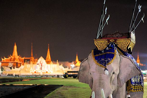 biały słoń w grand palace bangkok, tajlandia - krungthep zdjęcia i obrazy z banku zdjęć