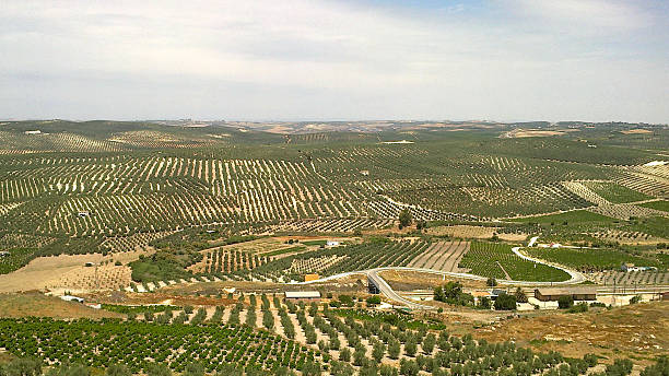 istock Aguilar de la Frontera - panoramic views 468570244