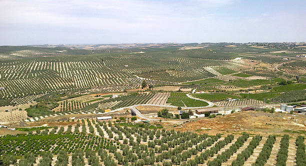 istock Aguilar de la Frontera - landscape 468570252