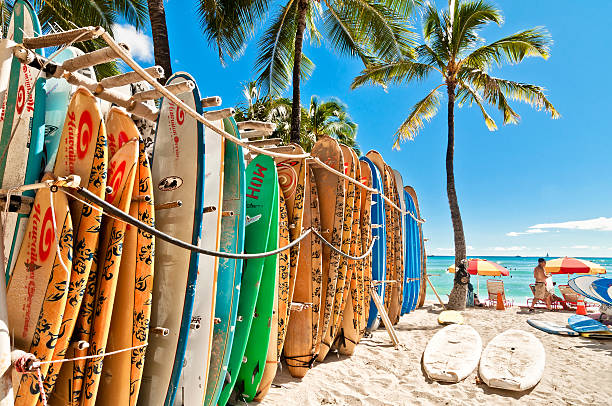 Surfboards at Waikiki Beach, Hawaii Honolulu, HI, USA - September 7, 2013: Surfboards lined up in the rack at famous Waikiki Beach in Honolulu. Oahu, Hawaii. waikiki stock pictures, royalty-free photos & images