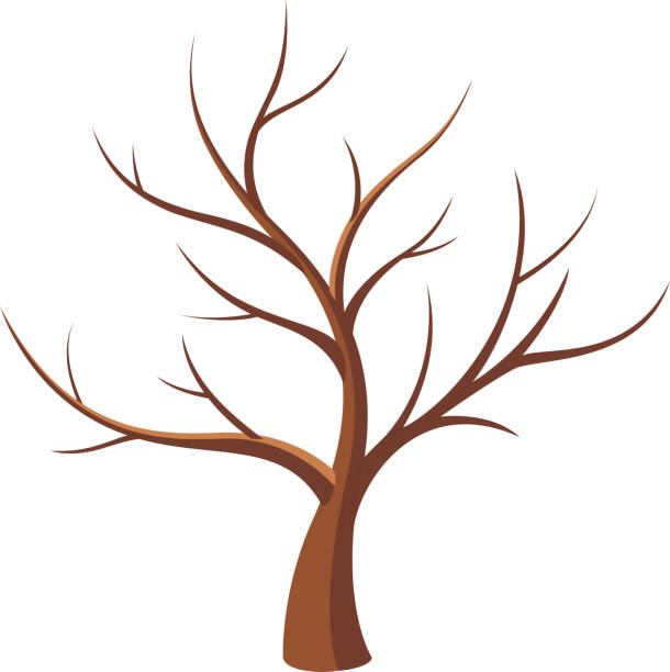Bare tree vector art illustration
