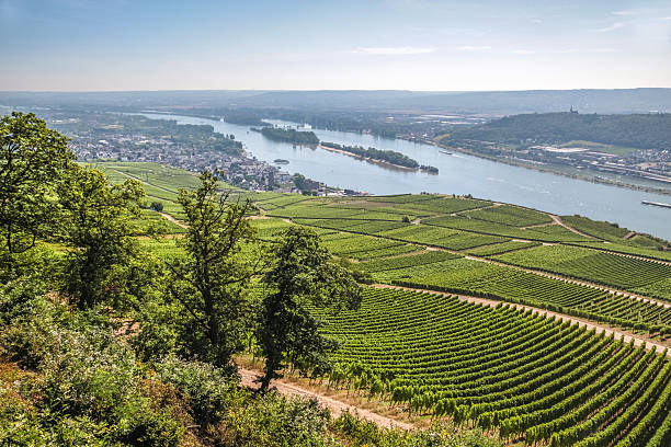 istock Ruedesheim in the Rheingau 468573966