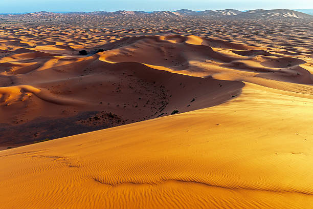 サンセット、erg chebbi 砂丘、モロッコ、北アフリカ - landscape desert wave pattern erg chebbi dunes ストックフォトと画像